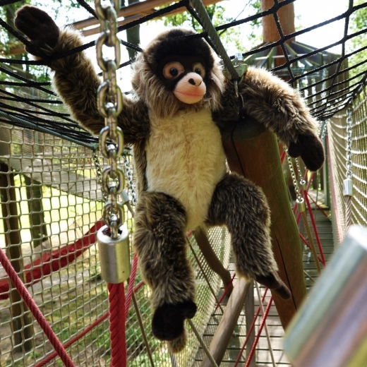 Κατάλληλο για βρέφη