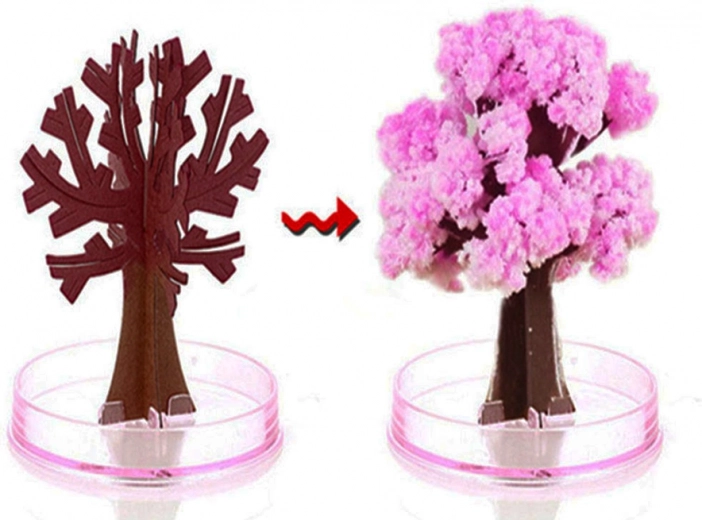 Άμεση μαγεία άνθισης