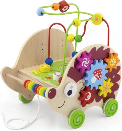 5 διασκεδαστικές δραστηριότητες σε έναν σκαντζόχοιρο