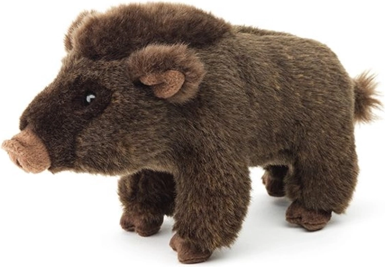 Ασφαλές από 0+