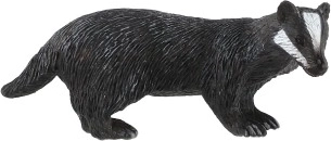 Χαρακτηριστικά γνωρίσματα του ασβού