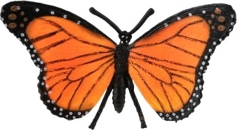 Ρεαλιστικά χρώματα και μοτίβο φτερών