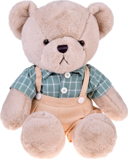 Στυλάτο πουκάμισο σε ρετρό καρό