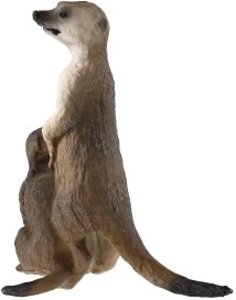 Συμπαγές μέγεθος 8 cm