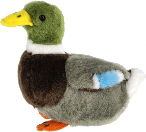 Απαλή και ασφαλής από την πρώτη ημέρα