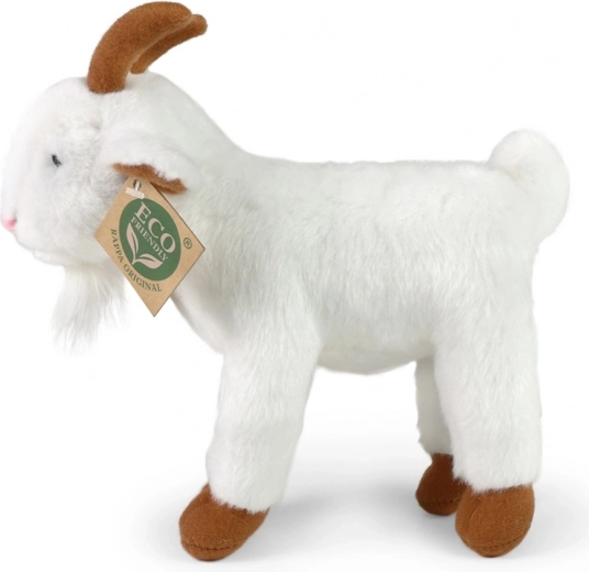 Ρεαλιστικός σχεδιασμός