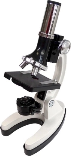 Τρία επίπεδα μεγέθυνσης: 300x, 600x, 1200x