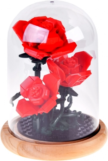 Σταθερός θόλος με ξύλινη βάση