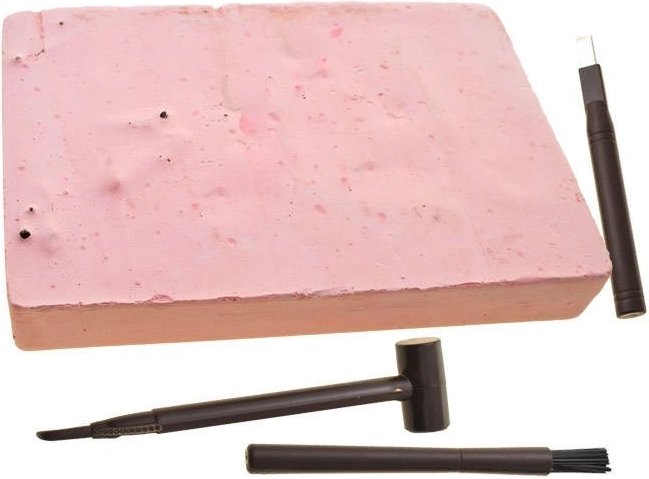 Ανακαλύψτε σκελετούς σαν αληθινός παλαιοντολόγος