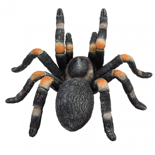 Ανθεκτική και ασφαλής κατασκευή