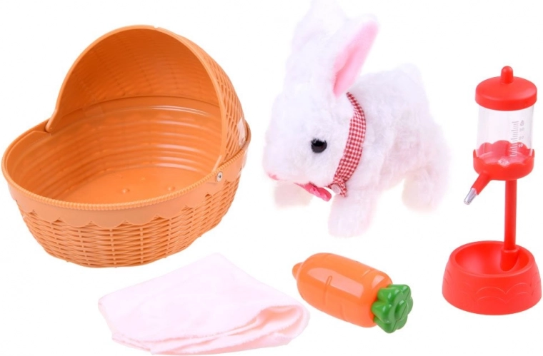 Όλα για τη φροντίδα του κατοικιδίου σε ένα σετ