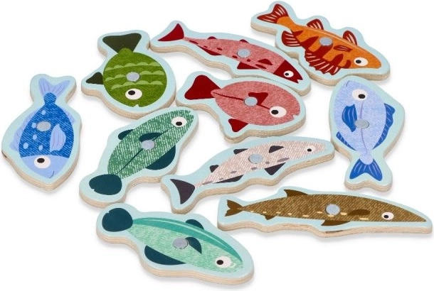 Τα πολύχρωμα ψαράκια τραβούν την προσοχή