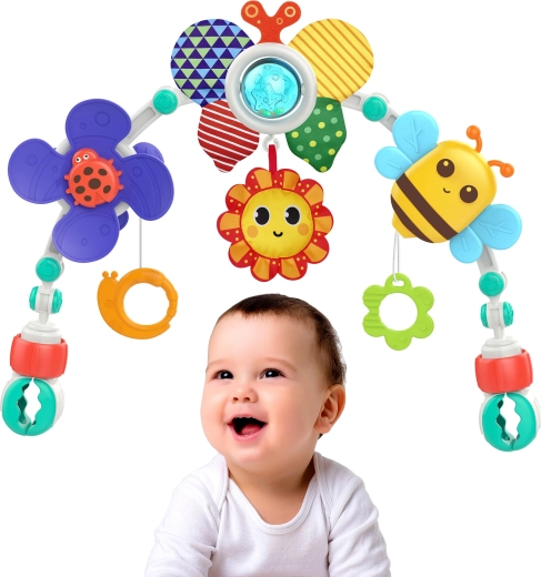 Πολυχρηστική χρήση