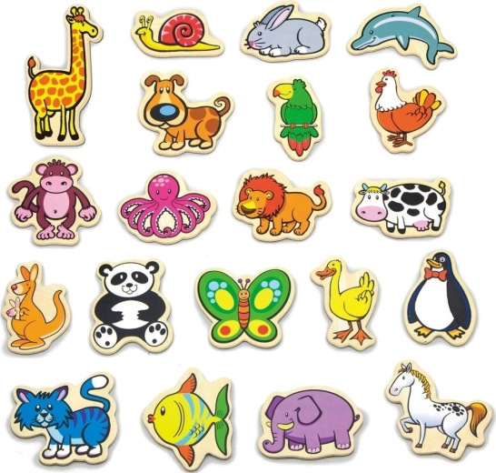 Ανάπτυξη λεπτής κινητικότητας