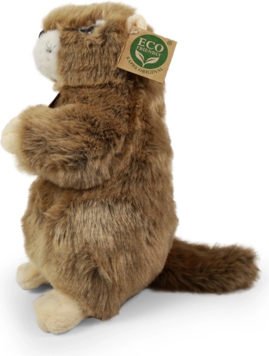 Eco-friendly γέμιση από μπουκάλια PET