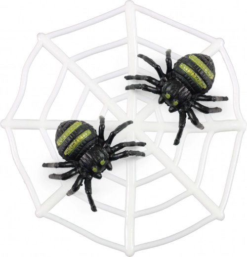 Διακόσμηση με ιστό αράχνης