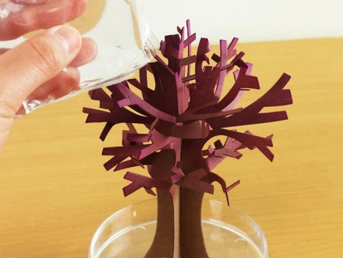 Απλή διαδικασία για παιδιά και ενήλικες