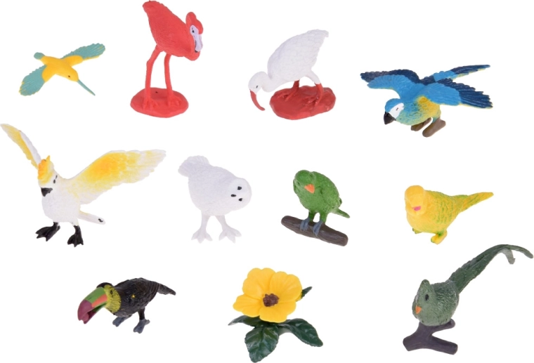 Ποικιλόμορφο σετ 10 εξωτικών πουλιών
