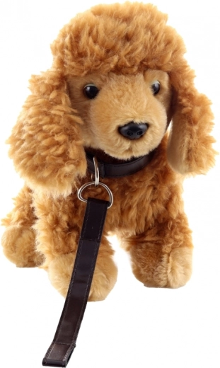 Ασφαλές και κατάλληλο από 0+