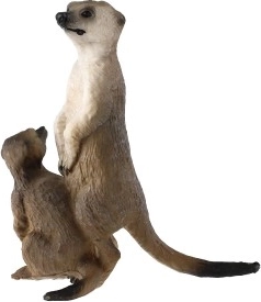 Ανθεκτικό πλαστικό ασφαλές για παιδιά