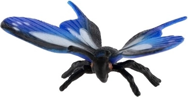 Πολύπλευρη διακοσμητική χρήση