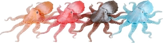 Διασκεδαστικό παιχνίδι για παιδιά