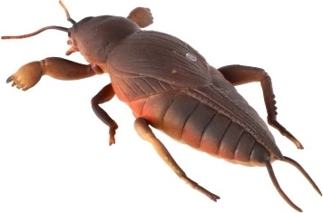 Ιδανικό για χαλάρωση παιδιών και ενηλίκων