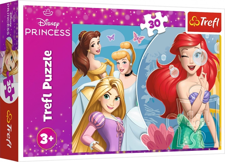 Μοτίβο πριγκιπισσών DISNEY PRINCESS