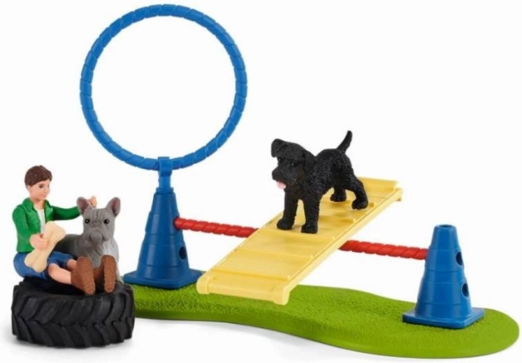 Πίστα agility γεμάτη προκλήσεις