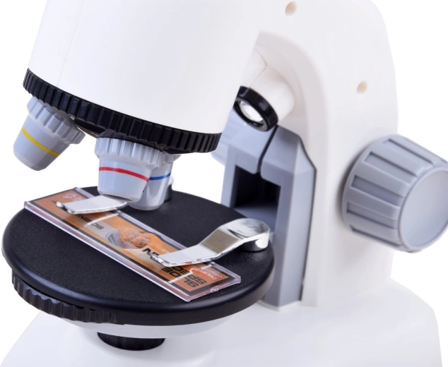 Τρεις βαθμίδες μεγέθυνσης για καθαρή λεπτομέρεια