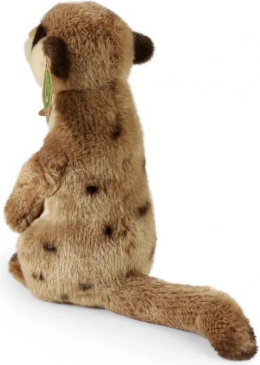 Ρεαλιστικός Σχεδιασμός