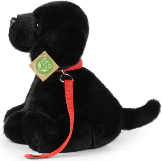 Eco‑friendly γέμισμα από μπουκάλια PET