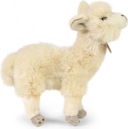 Απαλό και ποιοτικό λούτρινο