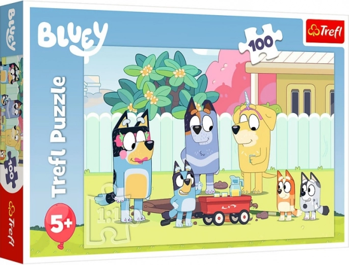 Αγαπημένοι ήρωες BLUEY