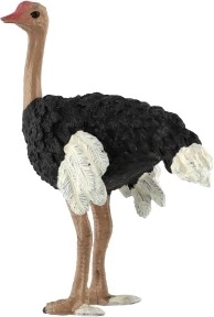 Διακοσμητικό στοιχείο