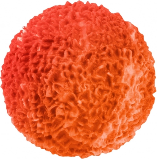 Συμπαγές μέγεθος για την παλάμη