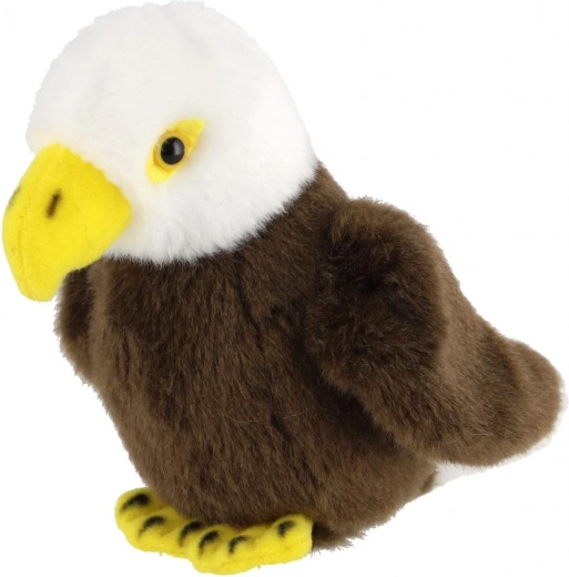 Συμπαγές μέγεθος 13 εκ.