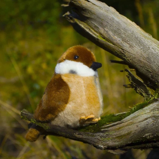 Ρεαλιστική εμφάνιση