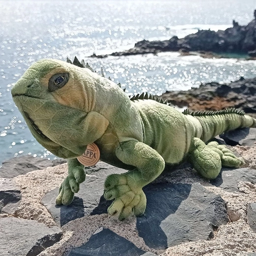 Ρεαλιστική εμφάνιση