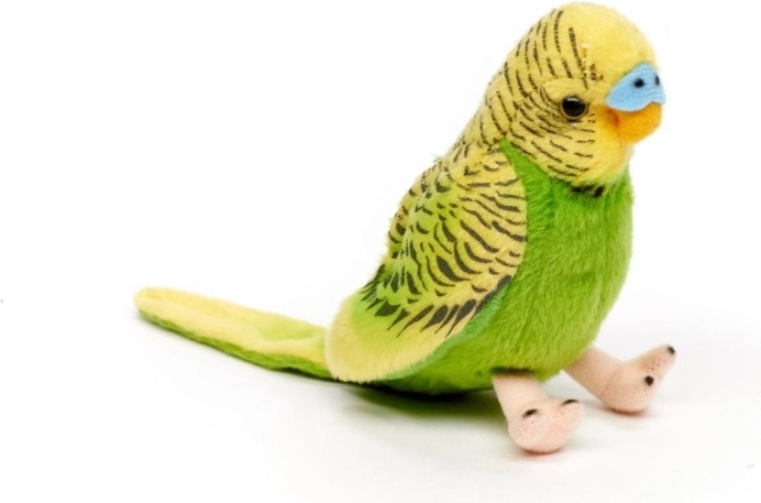 Χαριτωμένο τιτίβισμα με πάτημα στο φτερό