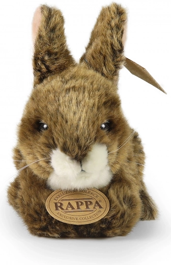 Αποκλειστική συλλογή RAPPA