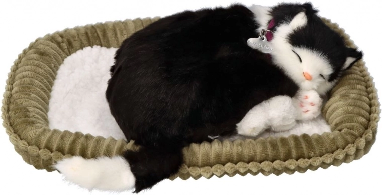 Πιστή εμφάνιση και λεπτομερής κατασκευή