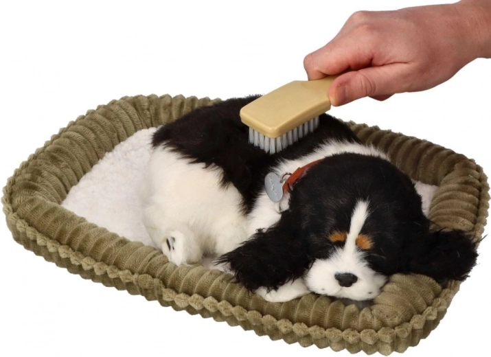 Διαδραστική εμπειρία