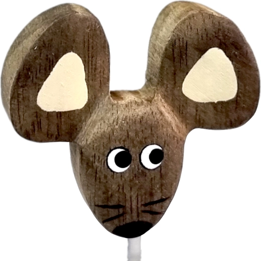 Καθολική χρήση