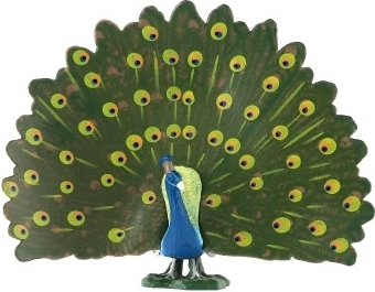 Ρεαλιστικά χρώματα και λεπτομέρειες φτερώματος