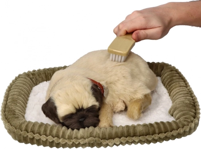 Απαλή γούνα και εύκολη φροντίδα