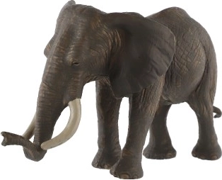 Υποστηρίζει τη δημιουργικότητα και την εκπαίδευση