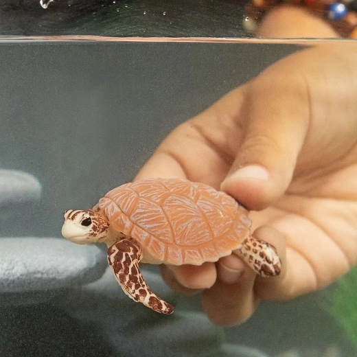 Ανθεκτική στα παιδικά χέρια