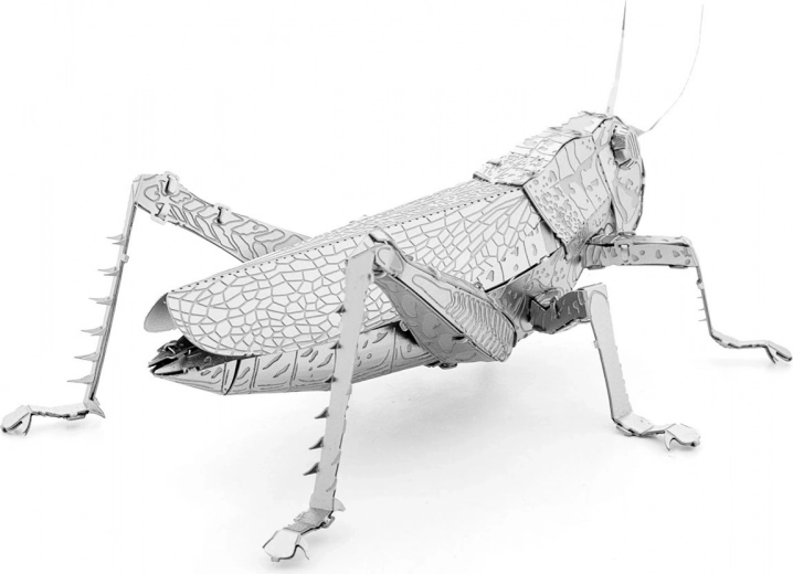 Μεταλλικό συλλεκτικό κομμάτι για έκθεση