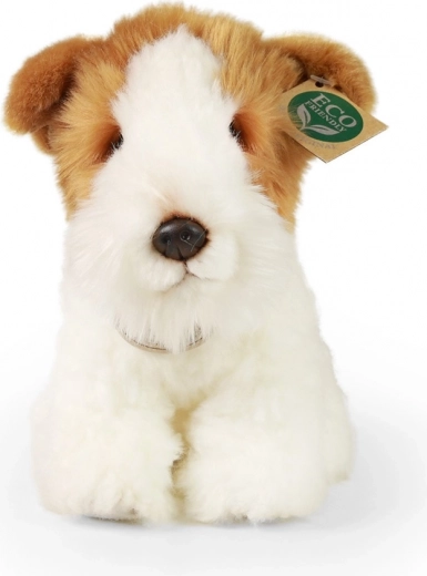 Οικολογική επιλογή